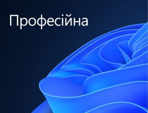 Операционная система Microsoft Windows 11 Pro, 1 ПК, OEM